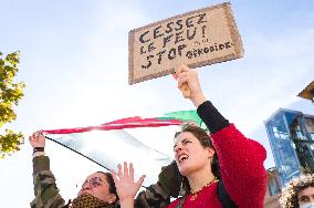 Unauthorised Rally To Lift The Gaza Blockade - Toulouse
