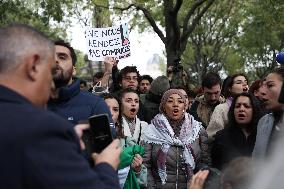 Unauthorised Pro-Palestinian Rally - Paris