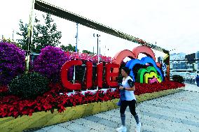 The 6th China International Import Expo Preview in Shanghai