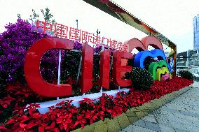 The 6th China International Import Expo Preview in Shanghai