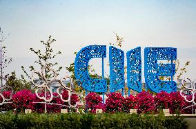 The 6th China International Import Expo Preview in Shanghai