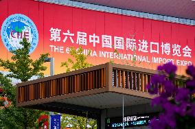 The 6th China International Import Expo Preview in Shanghai