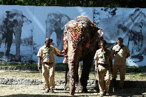 MYANMAR-YANGON-ASIAN ELEPHANT-BIRTHDAY