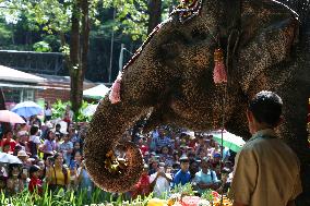 MYANMAR-YANGON-ASIAN ELEPHANT-BIRTHDAY