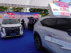 Autumn Auto Show in Yichang