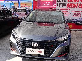 Autumn Auto Show in Yichang