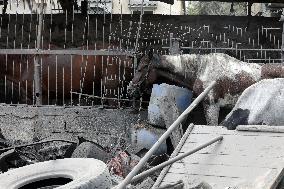 Destruction in Nuseirat Camp After Israeli Strikes Amid Ongoing Conflict