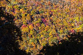 Blue Ridge Mountains Fall Foliage