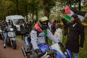 Rally In Solidarity With Palestine - The Hague
