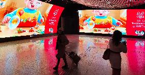 Double 11 Shopping Carnival Popular in China