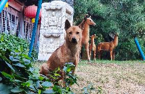 Guard Dogs Guard the back Garden of the Longhua Temple in Shanghai