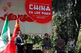 Chinese Ambassador To Mexico, Zhang Run, Donates Food To The Victims Of Hurricane Otis In Acapulco