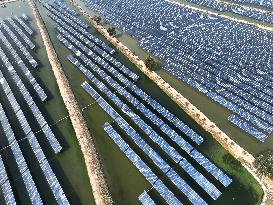 A Modern Fishery Industrial Park in Lianyungang