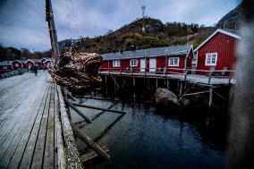 Nusfjord - Lofoten, Norway