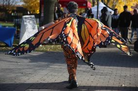 Halloween Dog Costume Parade In Aurora