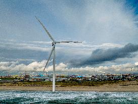 Windmills In Rotterdam