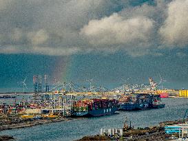 Windmills In Rotterdam