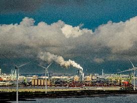 Windmills In Rotterdam