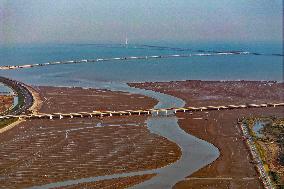 Red Seepweed Blooms at The Jiaozhou Bay Coastal Wetland in Qingdao