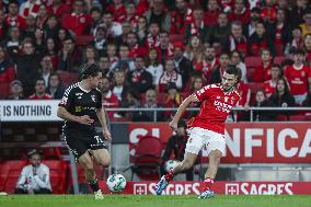 I Liga - Benfica vs Casa Pia