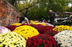 All Saints' Day In Krakow