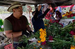 Cutting And Selling Cempasuchil Flower On The Eve Of Day Of The Dead In Mexico