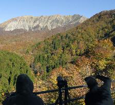 Autumn colors on Mt. Daisen