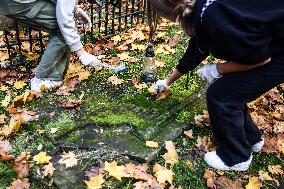 All Saints' Day Preparations In Poland