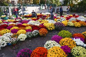 All Saints' Day Preparations In Poland