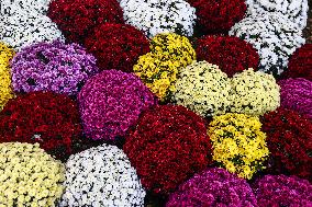 All Saints' Day Preparations In Poland