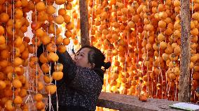 Farmers Drying Persimmons in Handan