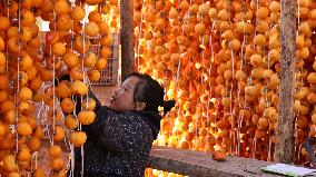 Farmers Drying Persimmons in Handan