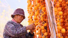 Farmers Drying Persimmons in Handan