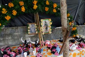 Xantolo, The Day Of The Dead Festival In The Huasteca Potosina, Mexico