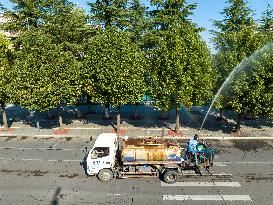 Tree Species For Cold Prevention in Lianyungang