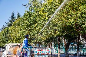 Tree Species For Cold Prevention in Lianyungang