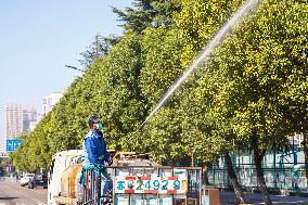 Tree Species For Cold Prevention in Lianyungang