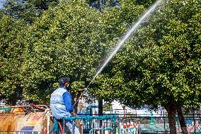 Tree Species For Cold Prevention in Lianyungang