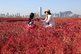 Red Beach Iin Lianyungang