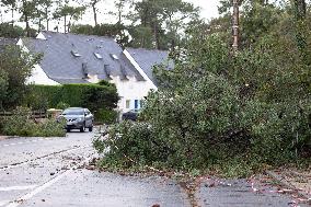 Damage caused by the Ciaran Storm - Morbihan