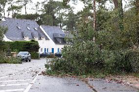 Damage caused by the Ciaran Storm - Morbihan