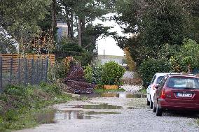 Damage caused by the Ciaran Storm - Morbihan