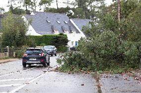 Damage caused by the Ciaran Storm - Morbihan