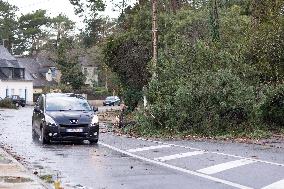 Damage caused by the Ciaran Storm - Morbihan