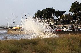 Damage caused by the Ciaran Storm - Morbihan