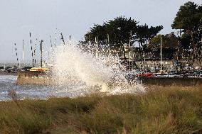 Damage caused by the Ciaran Storm - Morbihan