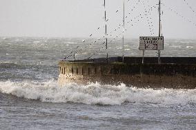 Damage caused by the Ciaran Storm - Morbihan