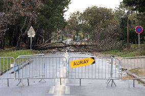 Damage caused by the Ciaran Storm - Morbihan