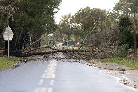 Damage caused by the Ciaran Storm - Morbihan