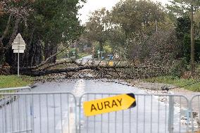 Damage caused by the Ciaran Storm - Morbihan